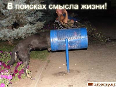 -:  