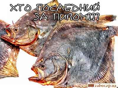 -:  !